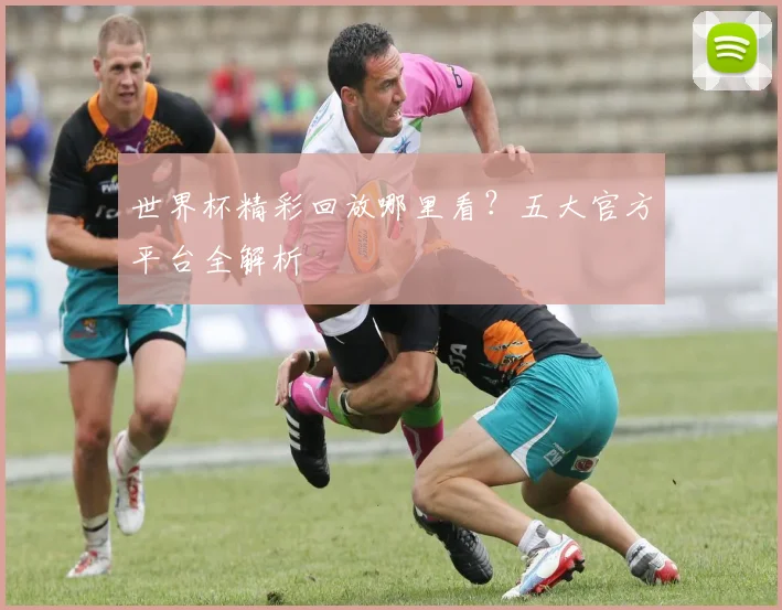 世界杯精彩回放哪里看？五大官方平台全解析