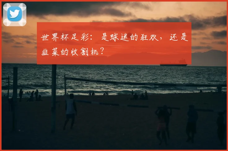 世界杯足彩：是球迷的狂欢，还是韭菜的收割机？