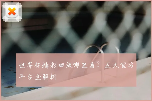 世界杯精彩回放哪里看？五大官方平台全解析