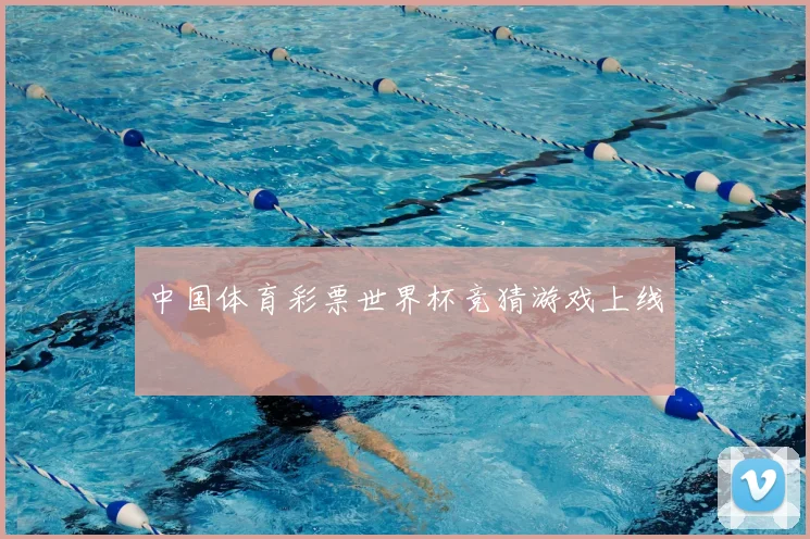 中国体育彩票世界杯竞猜游戏上线
