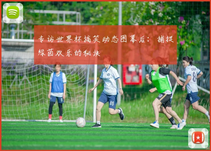 专访世界杯搞笑动态图幕后：捕捉绿茵欢乐的秘诀