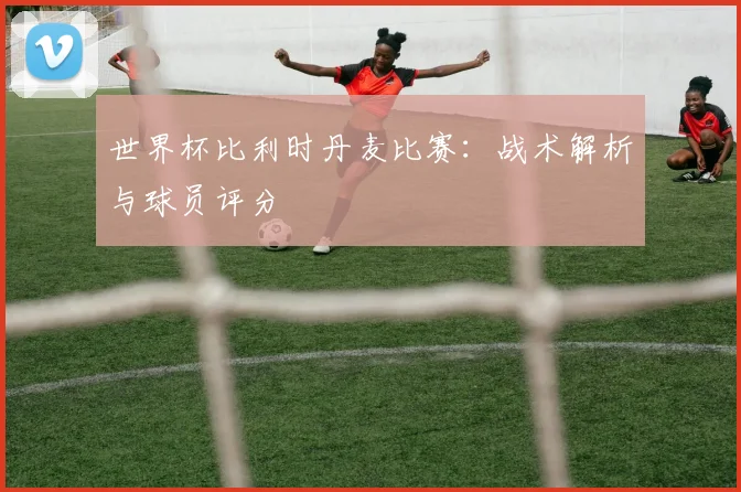 世界杯比利时丹麦比赛：战术解析与球员评分