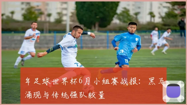 年足球世界杯6月小组赛战报：黑马涌现与传统强队较量