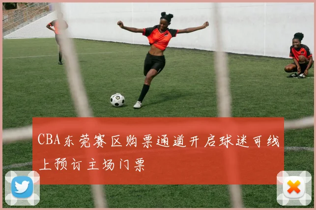 CBA东莞赛区购票通道开启球迷可线上预订主场门票