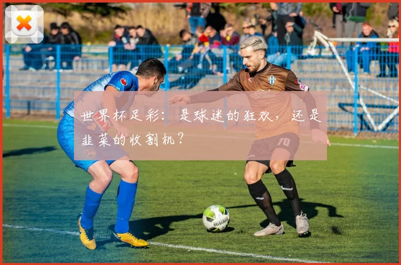 世界杯足彩：是球迷的狂欢，还是韭菜的收割机？