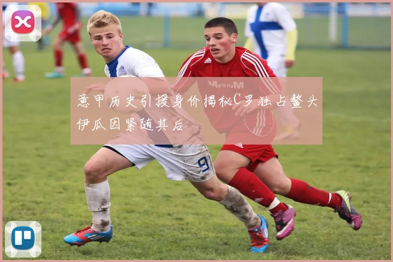 意甲历史引援身价揭秘C罗独占鳌头伊瓜因紧随其后