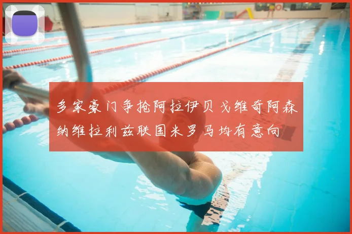 多家豪门争抢阿拉伊贝戈维奇阿森纳维拉利兹联国米罗马均有意向